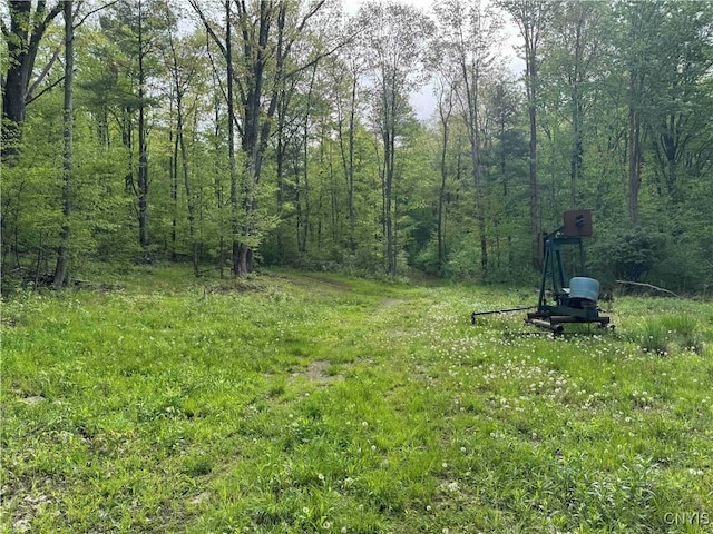 Jordan Hill Rd, Clarksville, NY 14715 - photo 28