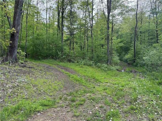 Jordan Hill Rd, Clarksville, NY 14715 - photo 29