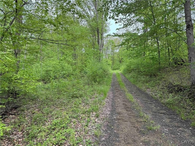 Jordan Hill Rd, Clarksville, NY 14715 - photo 31