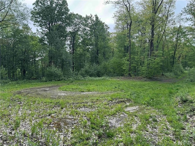Jordan Hill Rd, Clarksville, NY 14715 - photo 33