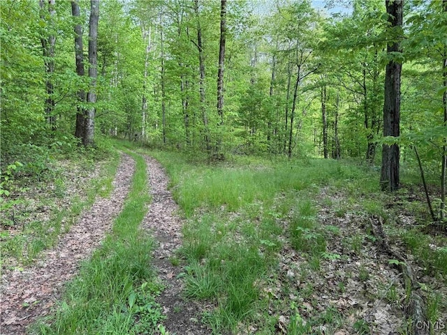Jordan Hill Rd, Clarksville, NY 14715 - photo 34