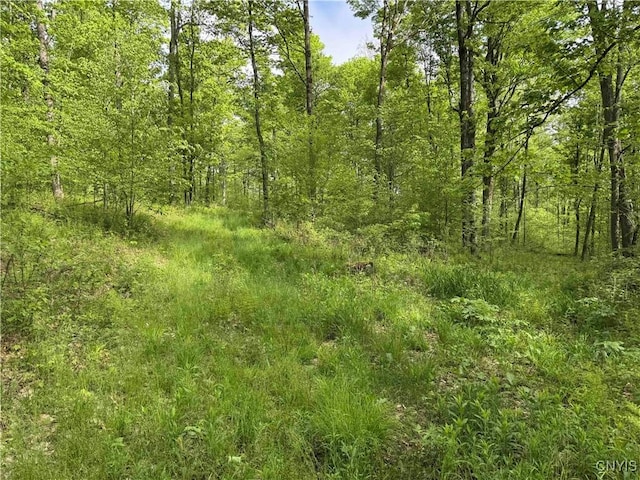 Jordan Hill Rd, Clarksville, NY 14715 - photo 36