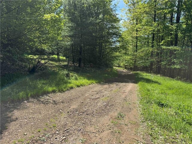 Jordan Hill Rd, Clarksville, NY 14715 - photo 41
