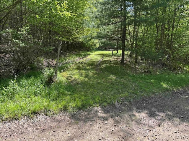Jordan Hill Rd, Clarksville, NY 14715 - photo 42