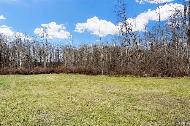 LOT3 Elderberry Ln, Hastings, NY 13036