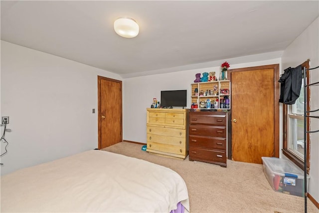 3 Maple St, Lyons, NY 14489 - bedroom with light colored carpet
