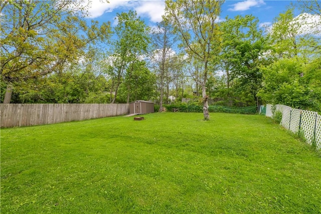 3 Maple St, Lyons, NY 14489 - view of yard