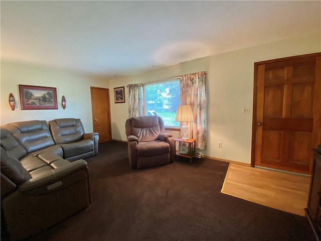 5 Melvins Ln, Big Flats, NY 14845 - living room with dark carpet and baseboards