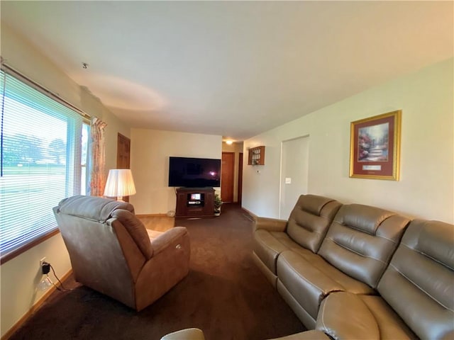 5 Melvins Ln, Big Flats, NY 14845 - living area with baseboards and carpet floors
