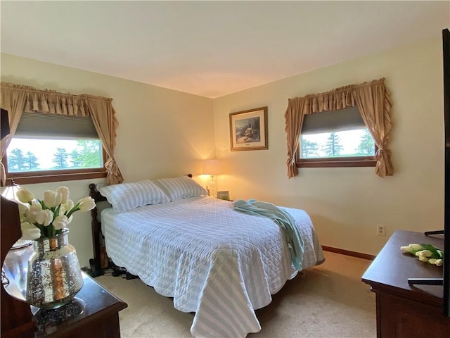 5 Melvins Ln, Big Flats, NY 14845 - view of carpeted bedroom