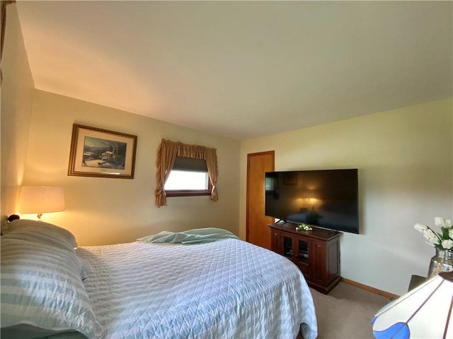 5 Melvins Ln, Big Flats, NY 14845 - bedroom featuring carpet flooring and baseboards