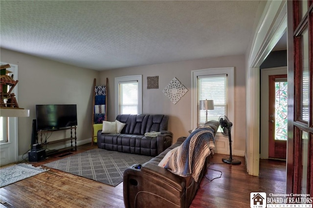 25 Academy St, Westfield, NY 14787 - living area featuring wood finished floors, baseboards, and a textured ceiling