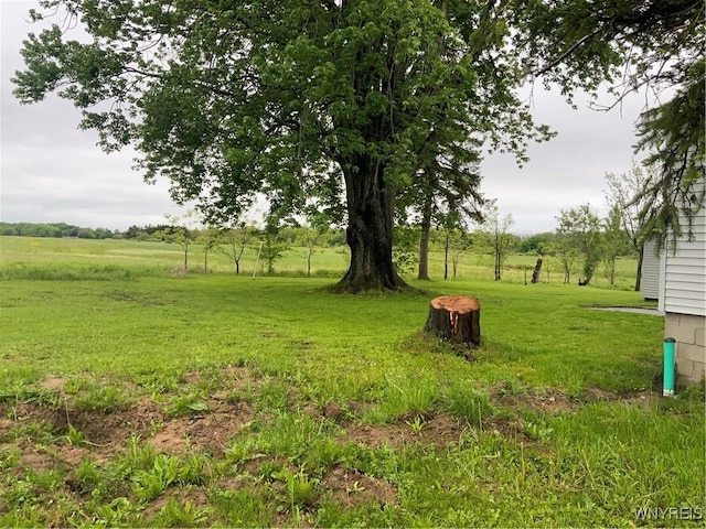 1750 Yates Carlton Townline Rd, Yates, NY 14098 - view of green lawn