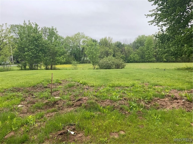 1750 Yates Carlton Townline Rd, Yates, NY 14098 - view of grassy yard featuring a rural view