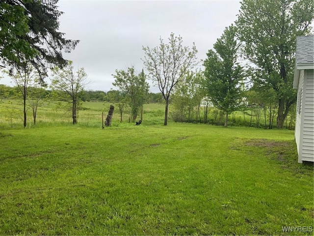1750 Yates Carlton Townline Rd, Yates, NY 14098 - view of green lawn