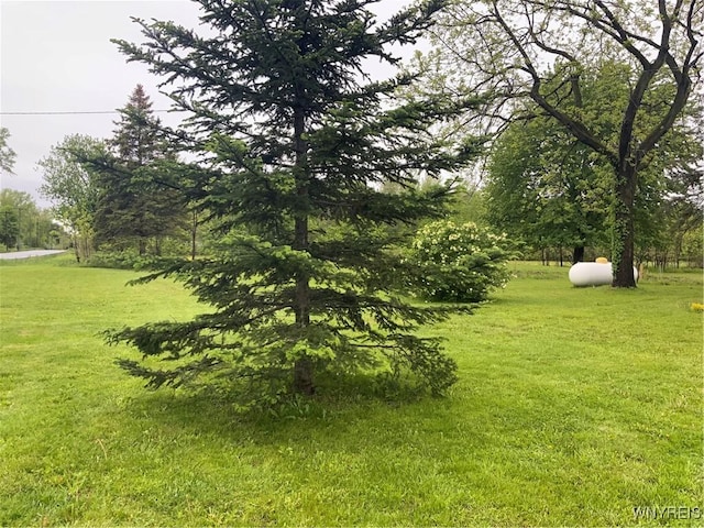 1750 Yates Carlton Townline Rd, Yates, NY 14098 - view of grassy yard