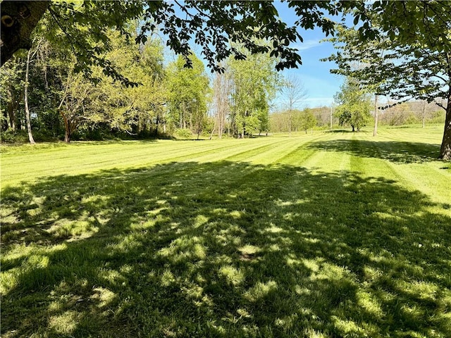 8119 Martin Rd, Wolcott, NY 14590 - view of green lawn