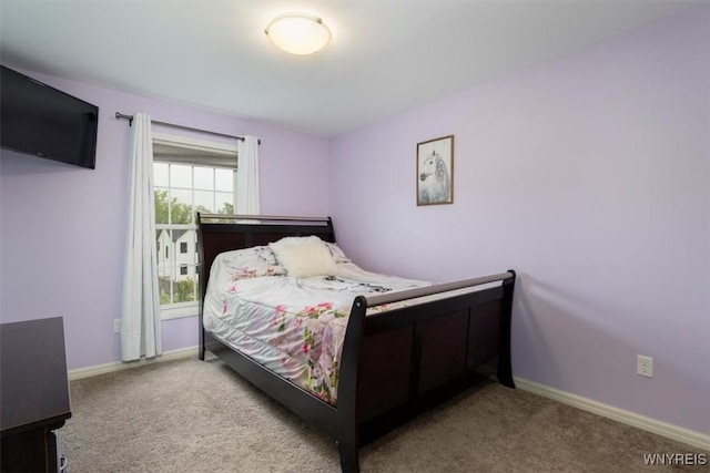 17 Knoche Way, Orchard Park, NY 14127 - bedroom with carpet and baseboards