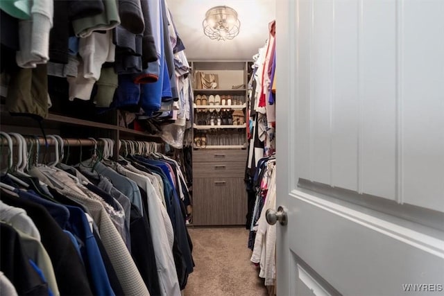 17 Knoche Way, Orchard Park, NY 14127 - walk in closet with carpet floors