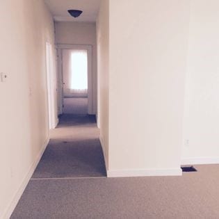 372 Diven Ave, Elmira-City, NY 14901 - hall with carpet floors and baseboards