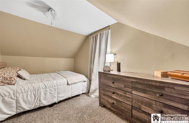 88 Summit Ave, Orchard Park, NY 14127 - carpeted bedroom featuring vaulted ceiling