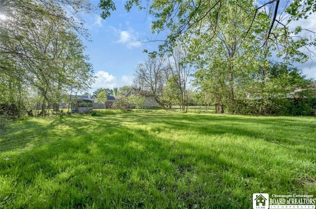 88 Summit Ave, Orchard Park, NY 14127 - view of yard