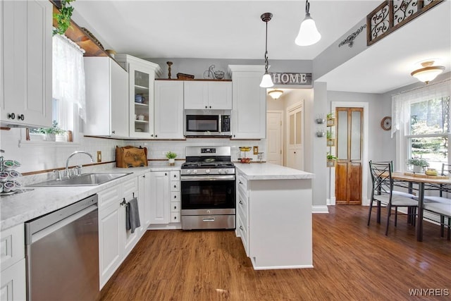 7263 Quaker Rd, Orchard Park, NY 14127 - kitchen with appliances with stainless steel finishes, a sink, dark wood-style flooring, and backsplash