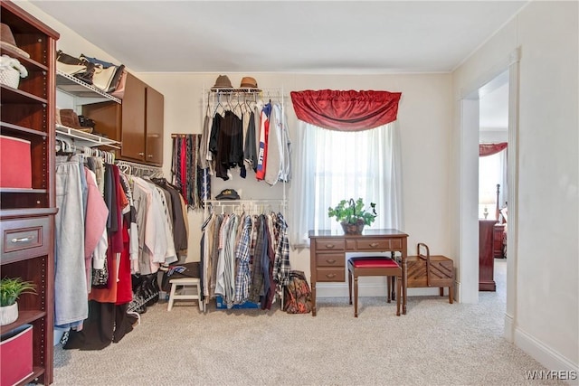 7263 Quaker Rd, Orchard Park, NY 14127 - spacious closet featuring carpet