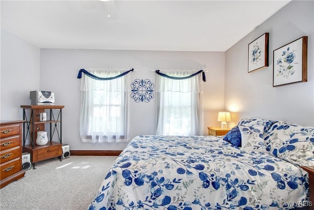 7263 Quaker Rd, Orchard Park, NY 14127 - carpeted bedroom with multiple windows and baseboards