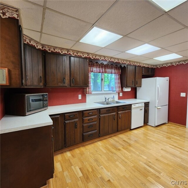 717 Lawrence St, Watertown-City, NY 13601 - kitchen featuring white appliances, a sink, light wood-style floors, light countertops, and a drop ceiling