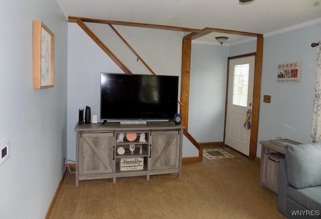 225 Fries Rd, Tonawanda-Town, NY 14150 - carpeted living room featuring crown molding and baseboards