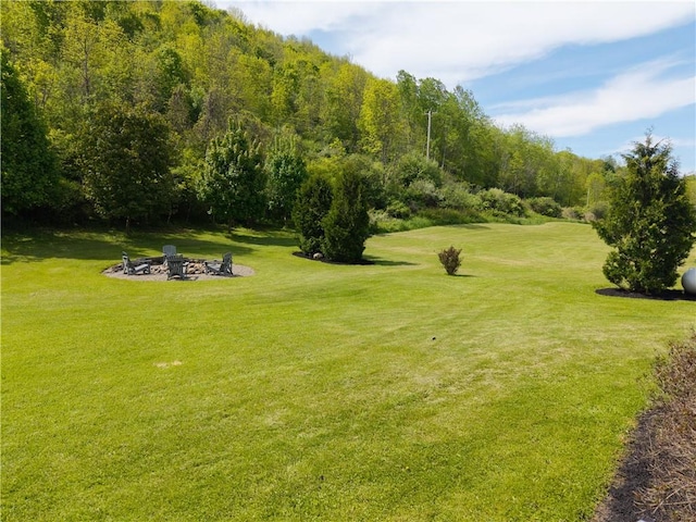2371 Rough And Ready Rd, Greenwood, NY 14877 - photo 39