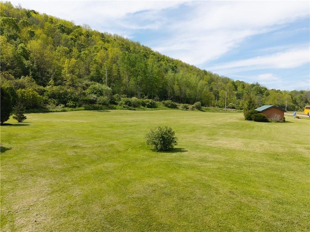2371 Rough And Ready Rd, Greenwood, NY 14877 - photo 41