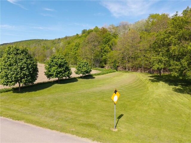 2371 Rough And Ready Rd, Greenwood, NY 14877 - photo 42