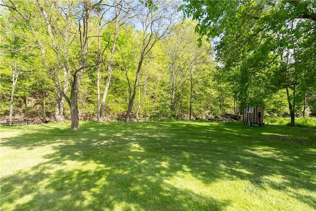 2371 Rough And Ready Rd, Greenwood, NY 14877 - photo 43