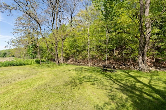 2371 Rough And Ready Rd, Greenwood, NY 14877 - photo 44
