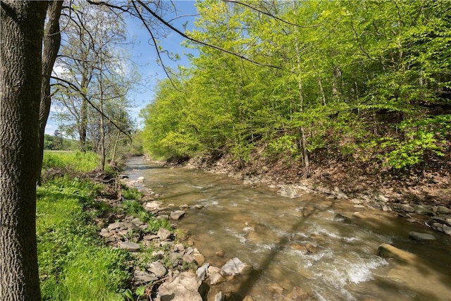 2371 Rough And Ready Rd, Greenwood, NY 14877 - photo 45