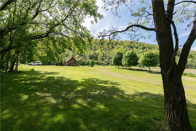 2371 Rough And Ready Rd, Greenwood, NY 14877 - photo 50