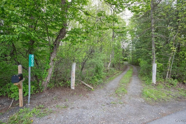 4090 Old Kennedy Rd, Onondaga, NY 13120 - view of street with a forest view