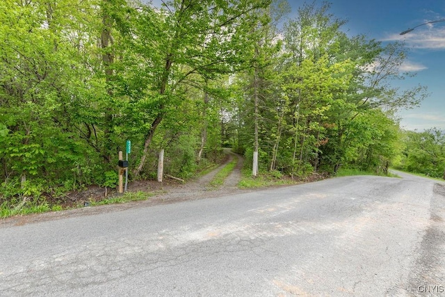 4090 Old Kennedy Rd, Onondaga, NY 13120 - view of street