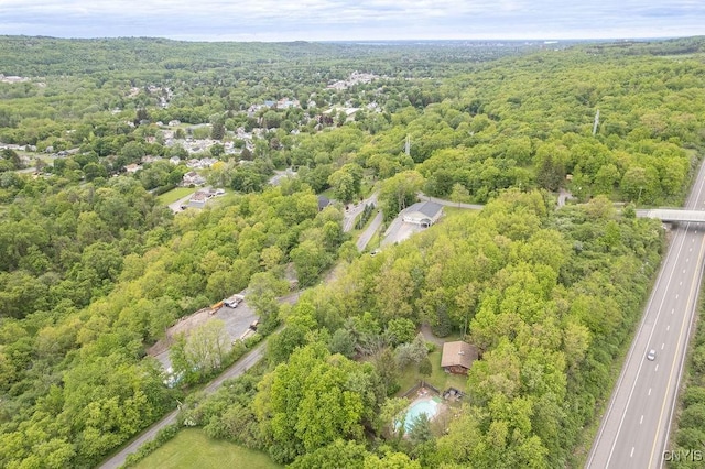 4090 Old Kennedy Rd, Onondaga, NY 13120 - aerial view of a forest