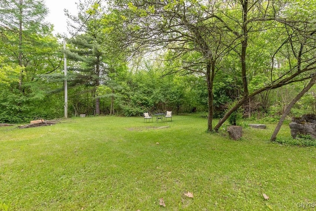 4090 Old Kennedy Rd, Onondaga, NY 13120 - view of grassy yard