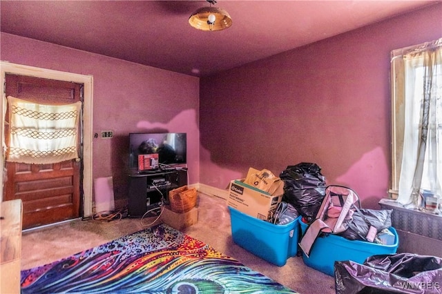 49 Mercer Ave, Buffalo, NY 14214 - bedroom with carpet flooring