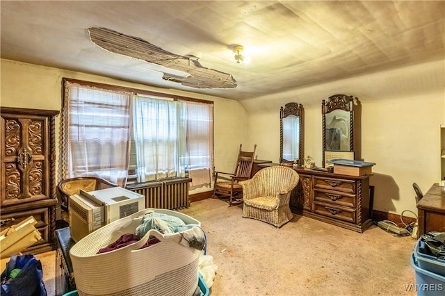 49 Mercer Ave, Buffalo, NY 14214 - sitting room with carpet floors and baseboards