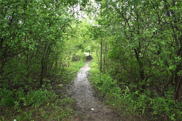 414 Fox Run, Gates, NY 14606 - view of road with a view of trees