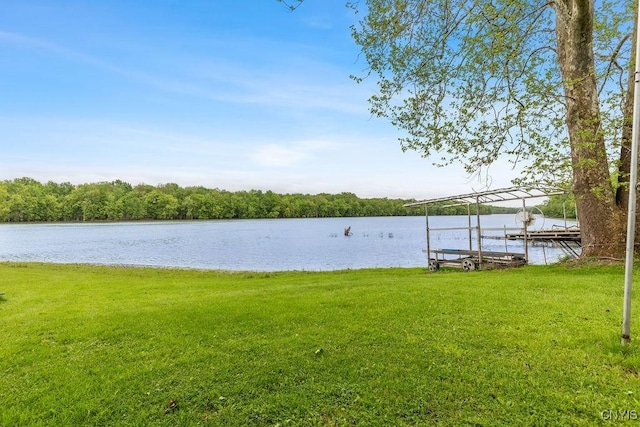 633 Eno Rd, Elbridge, NY 13080 - view of green lawn with a boat dock, a water view, a forest view, and boat lift