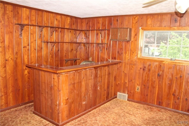 7 Catlin Ave, Paris, NY 13456 - indoor wet bar featuring wooden walls, carpet, and ceiling fan
