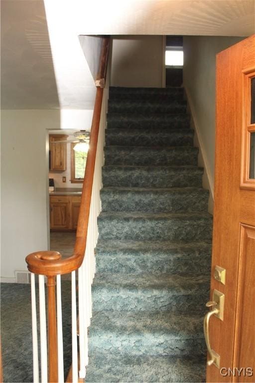 7 Catlin Ave, Paris, NY 13456 - stairway with carpet flooring