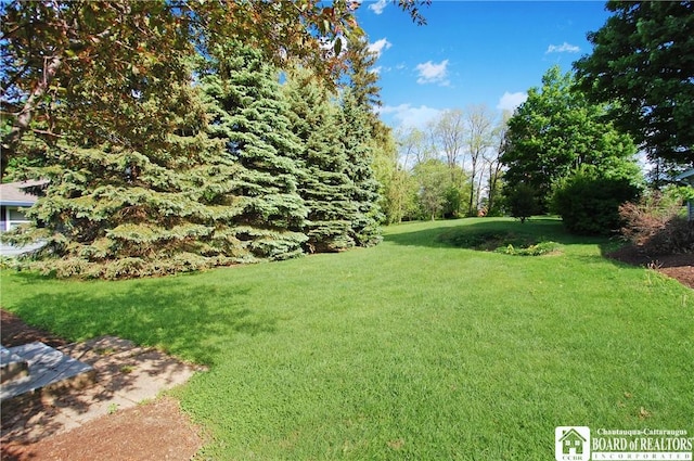 178 W Main St, Westfield, NY 14787 - view of green lawn