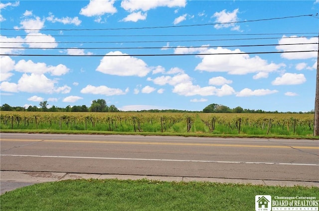 178 W Main St, Westfield, NY 14787 - view of asphalt road with a rural view